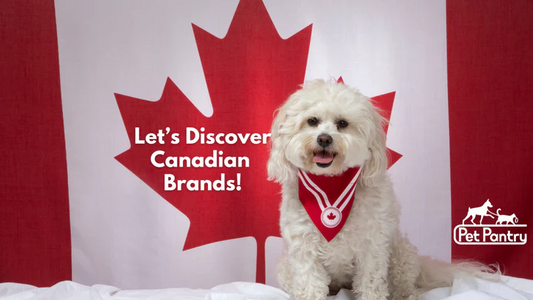 Why Canadian Pet Food Brands are the Superior Choice for Your Pet's Health