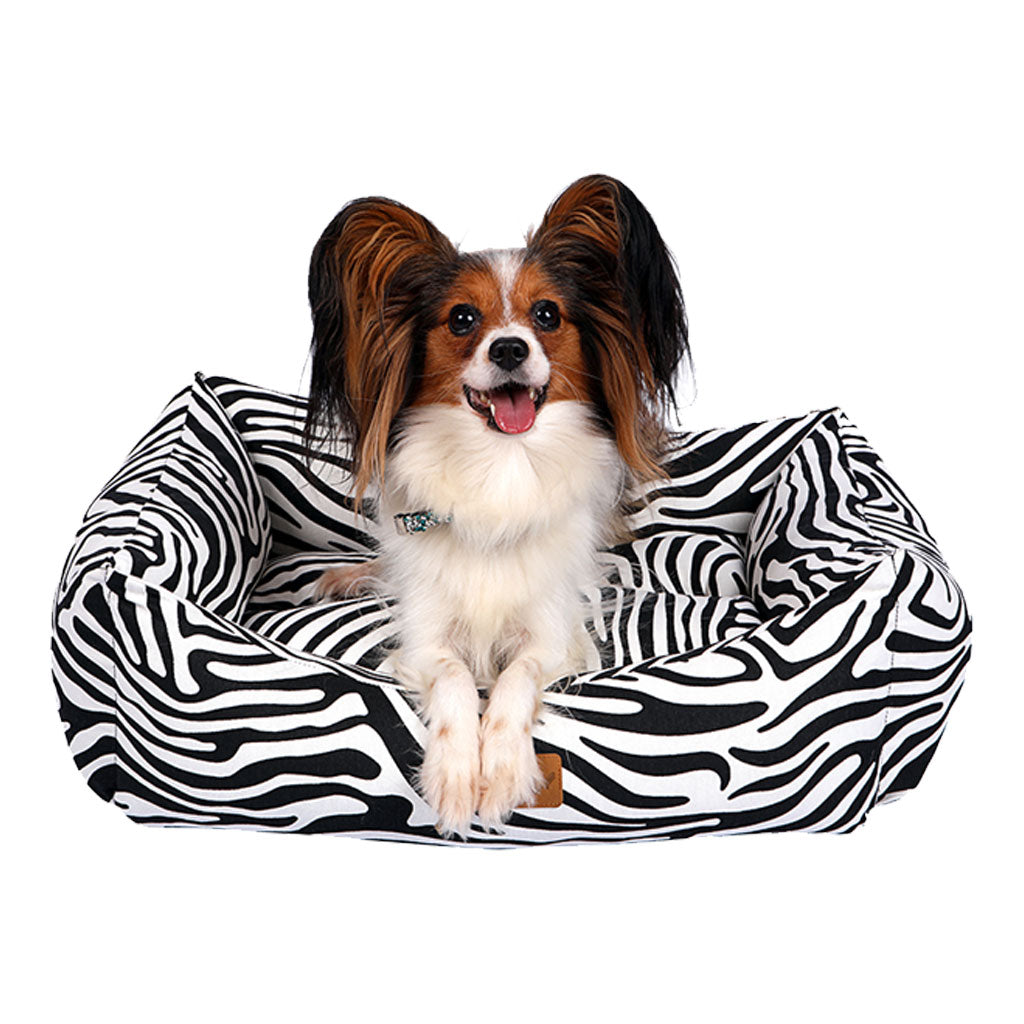 Makaron Zebra
