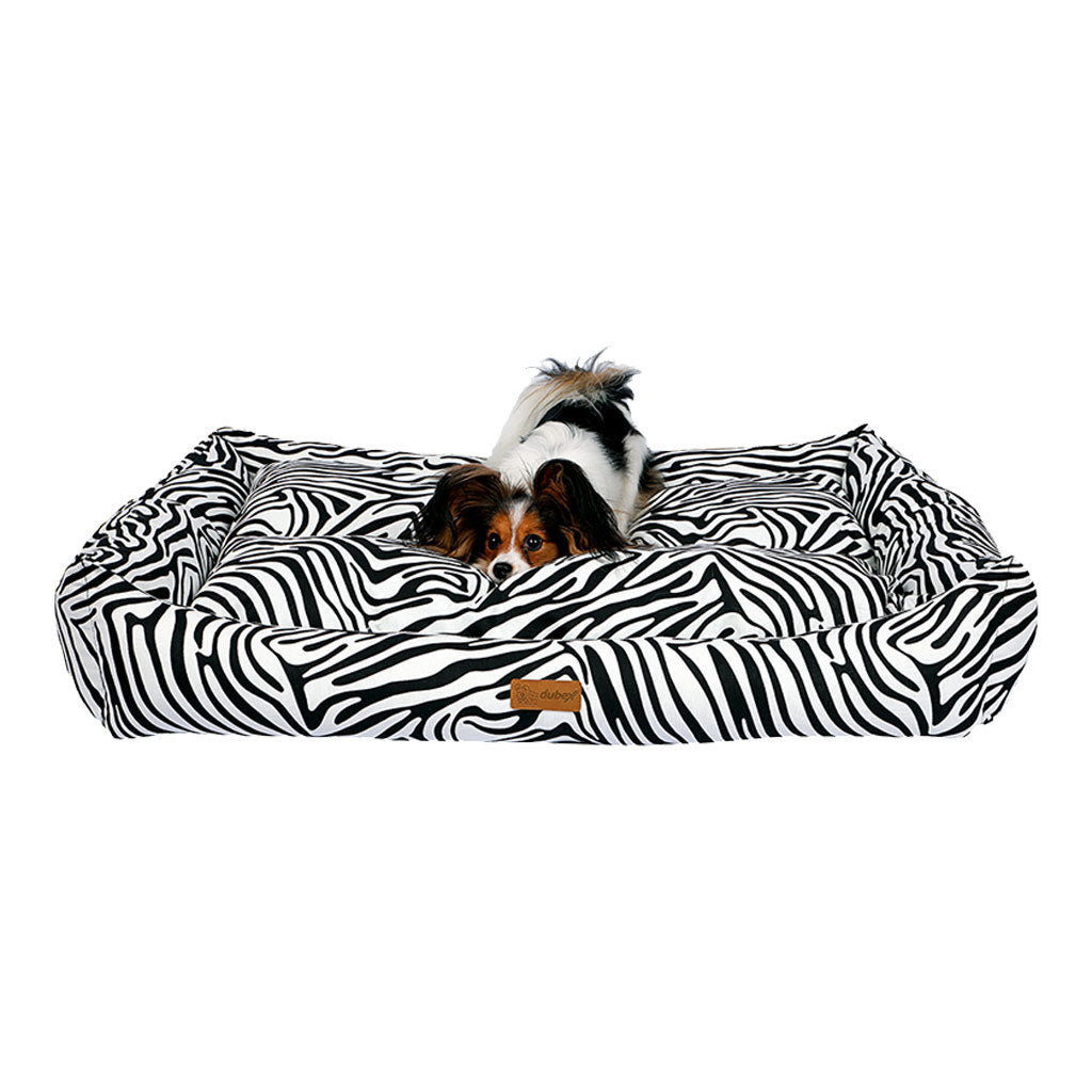 Makaron Zebra