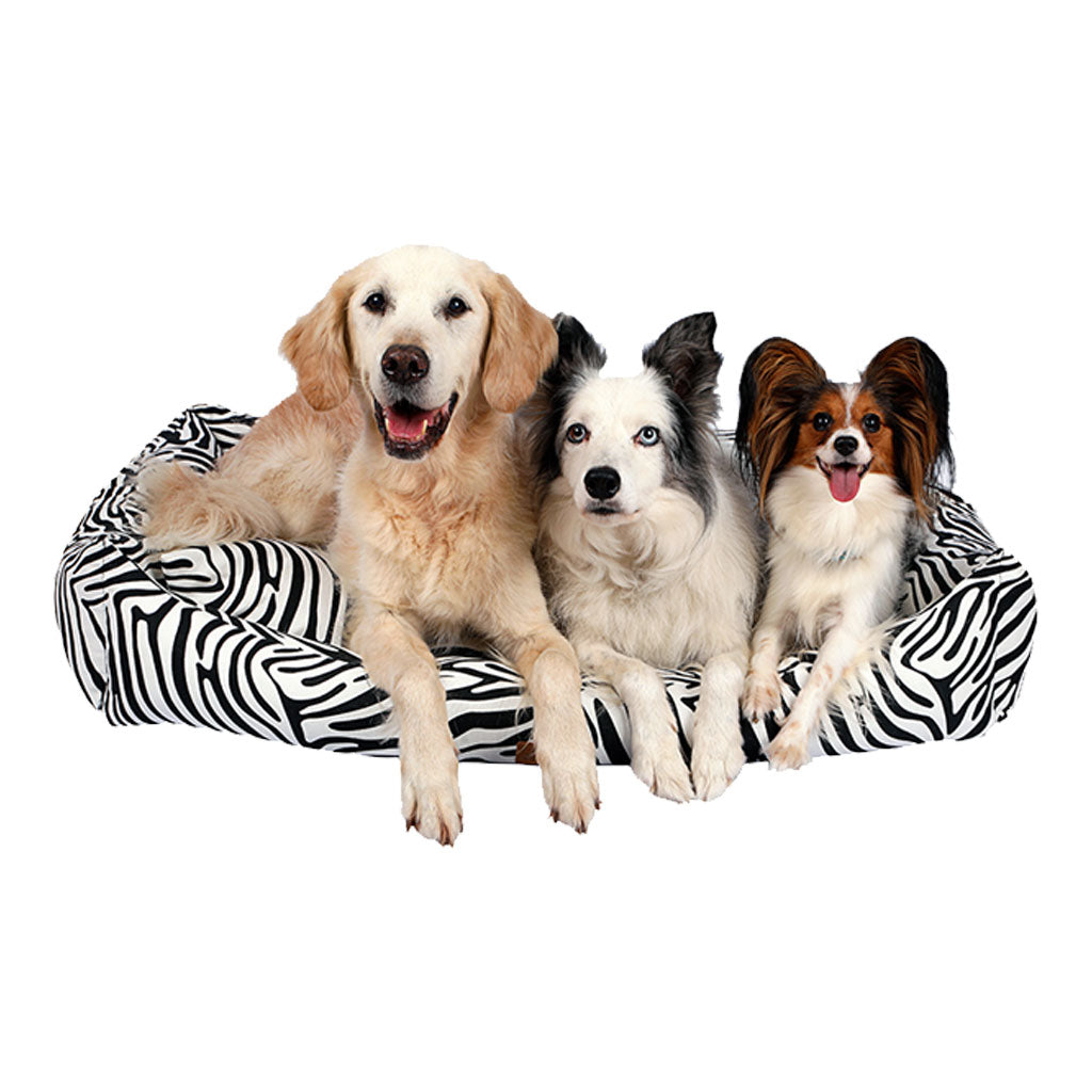 Makaron Zebra